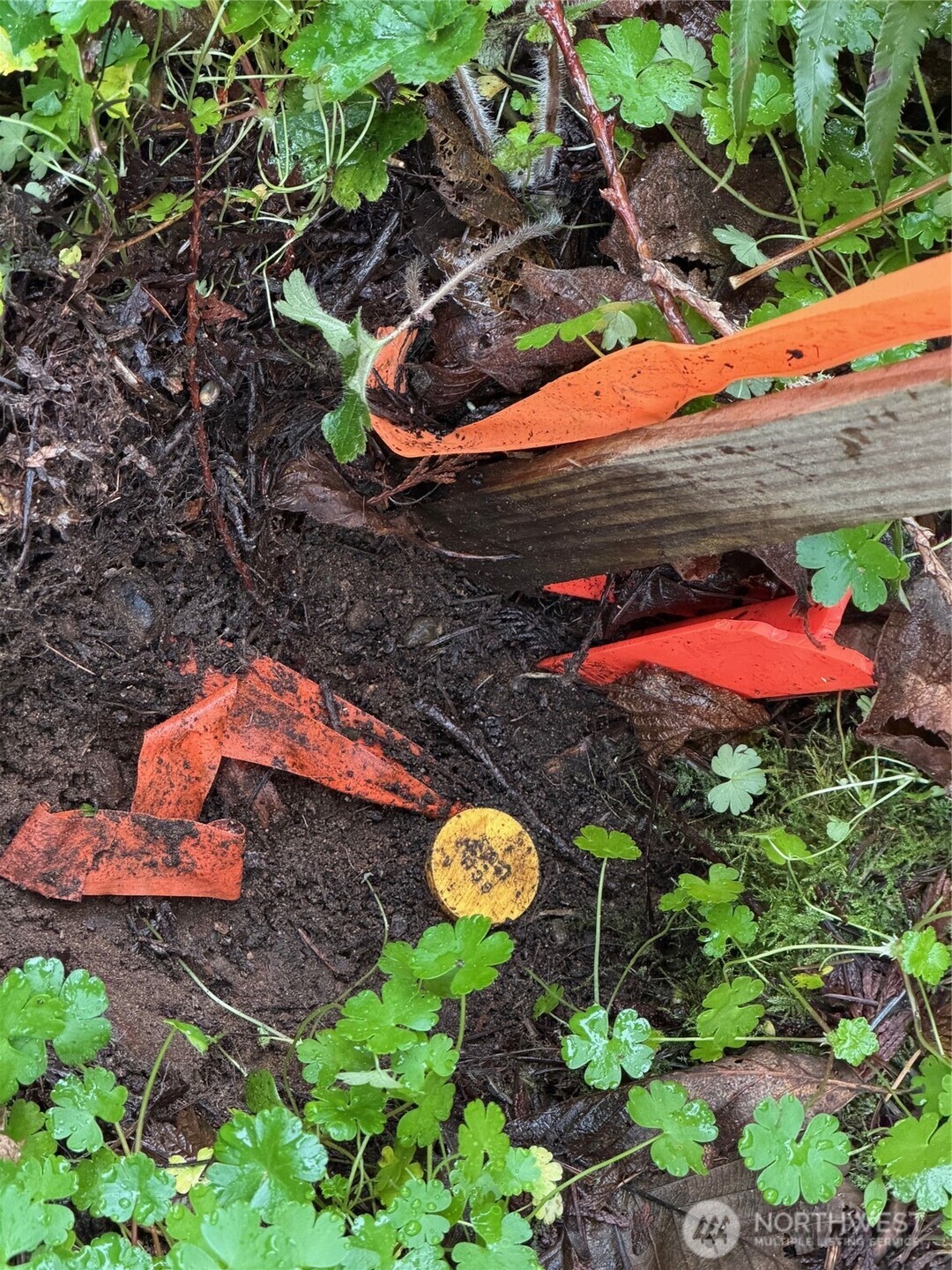 4843 Northeast Twin Spits Road Hansville, WA 98340 - Photo 14 of 20