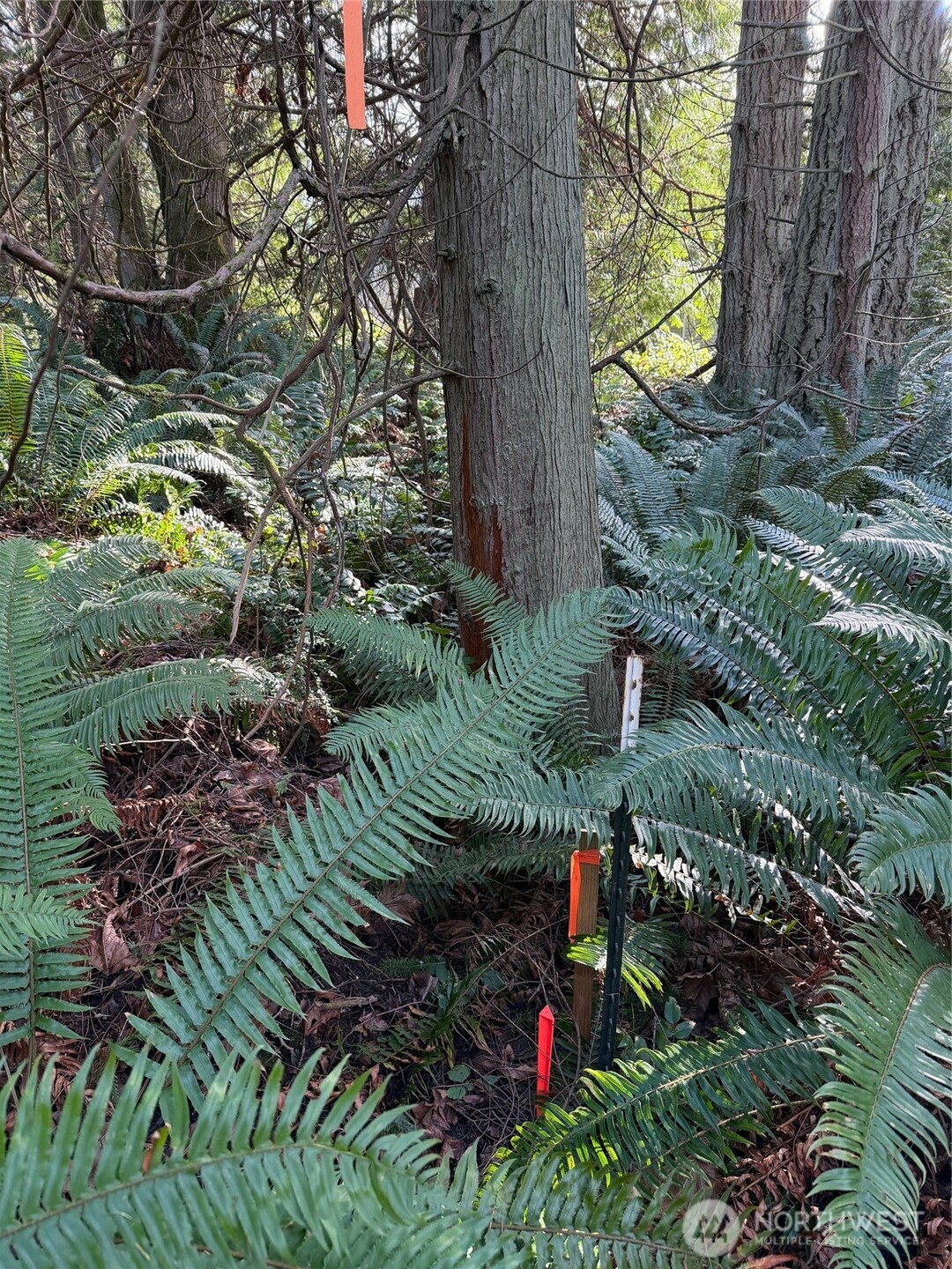4843 Northeast Twin Spits Road Hansville, WA 98340 - Photo 17 of 20 a view of a park