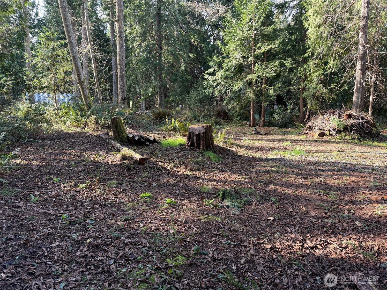 4843 Northeast Twin Spits Road Hansville, WA 98340 - Photo 3 of 20 a view of a park with large trees