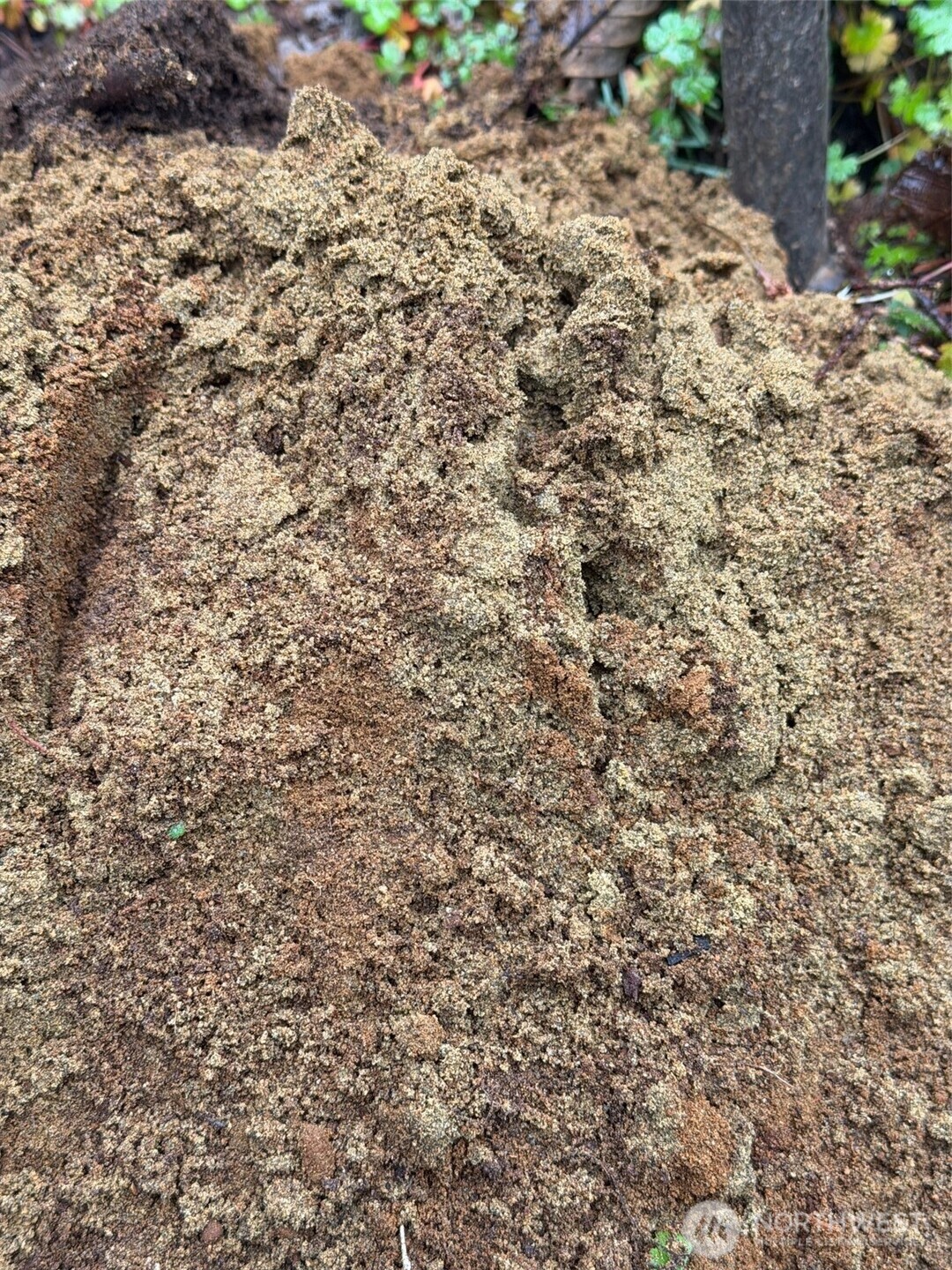 4843 Northeast Twin Spits Road Hansville, WA 98340 - Photo 6 of 20