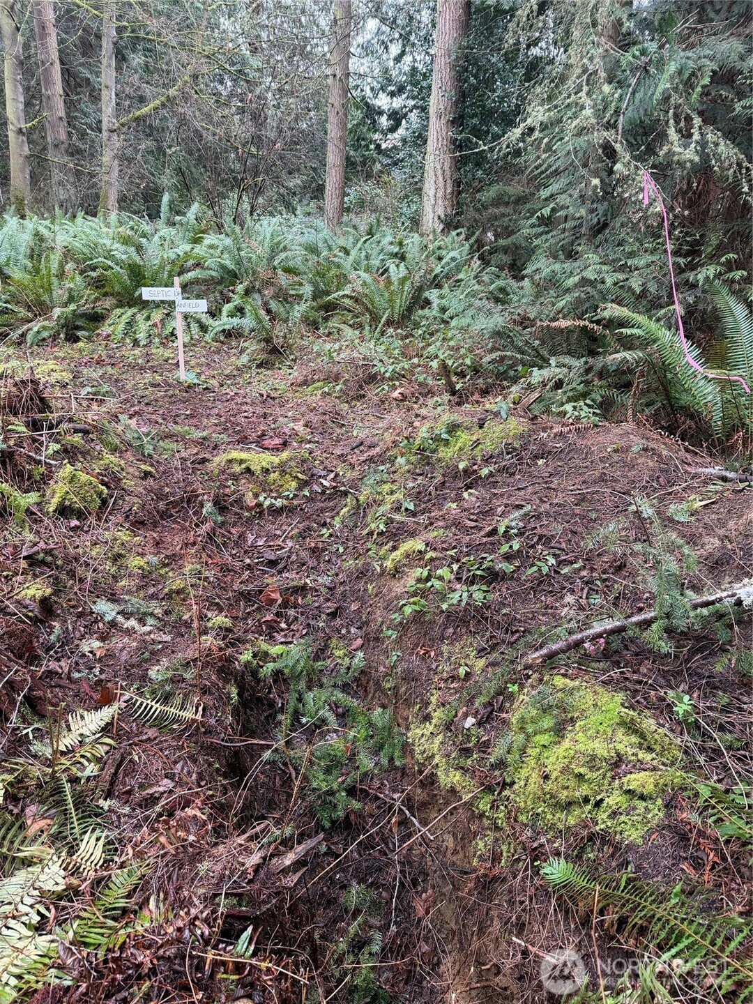 4843 Northeast Twin Spits Road Hansville, WA 98340 - Photo 7 of 20