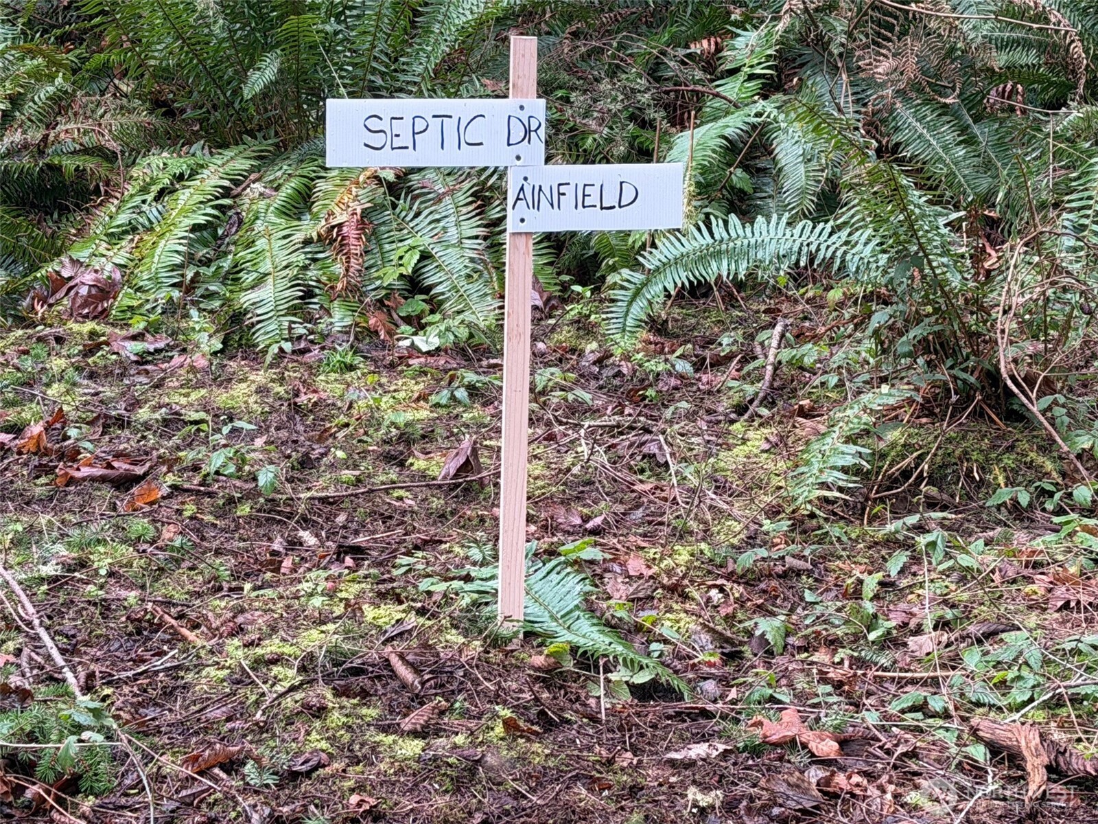 4843 Northeast Twin Spits Road Hansville, WA 98340 - Photo 8 of 20