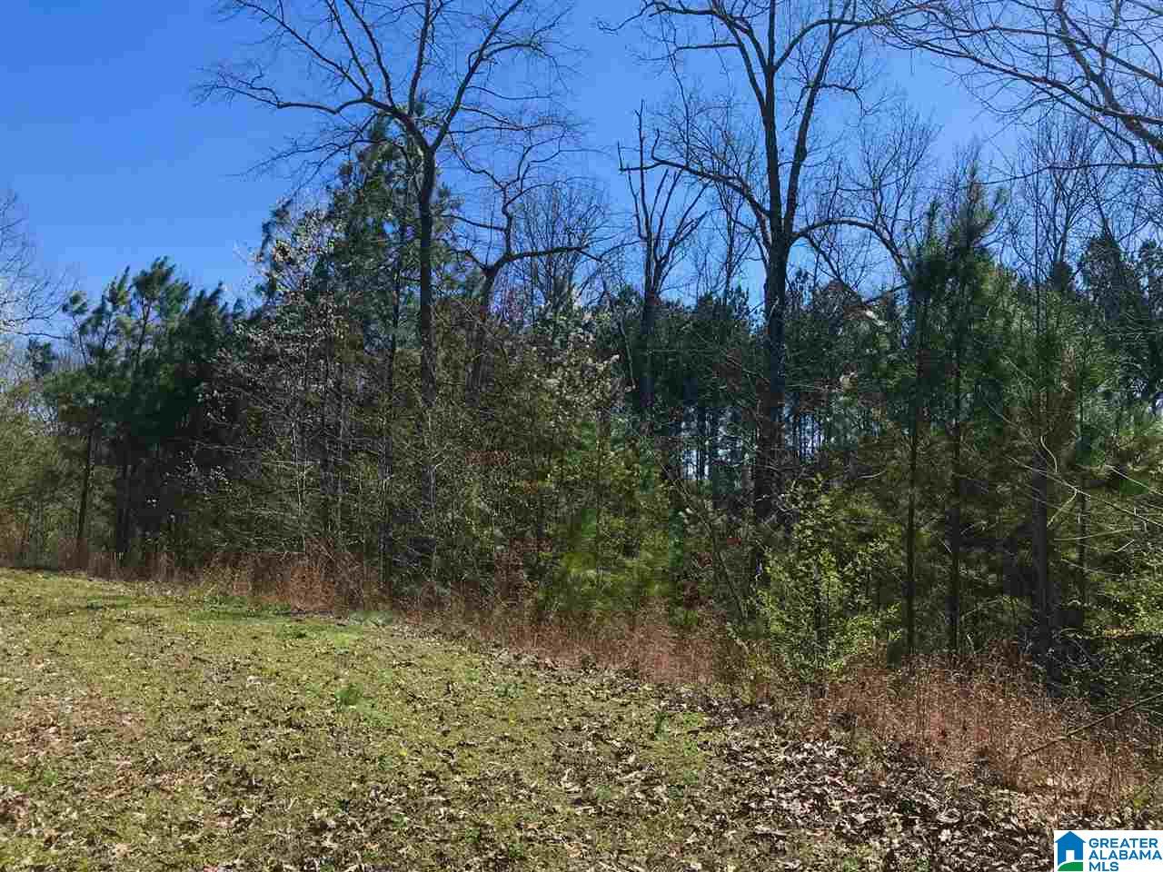 0 Teem Road, Unit 32A Cullman, AL 35057 - Photo 4 of 14