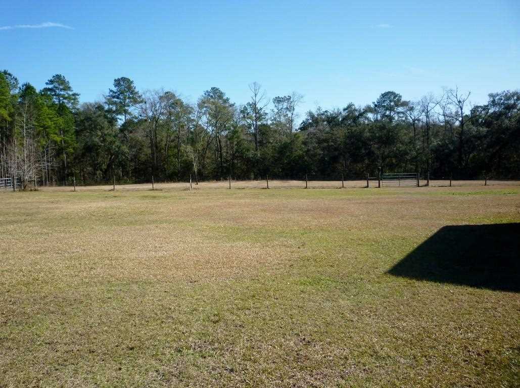964 Freeman Road Lamont, FL 32336 - Photo 24 of 25 Gallery Image 24