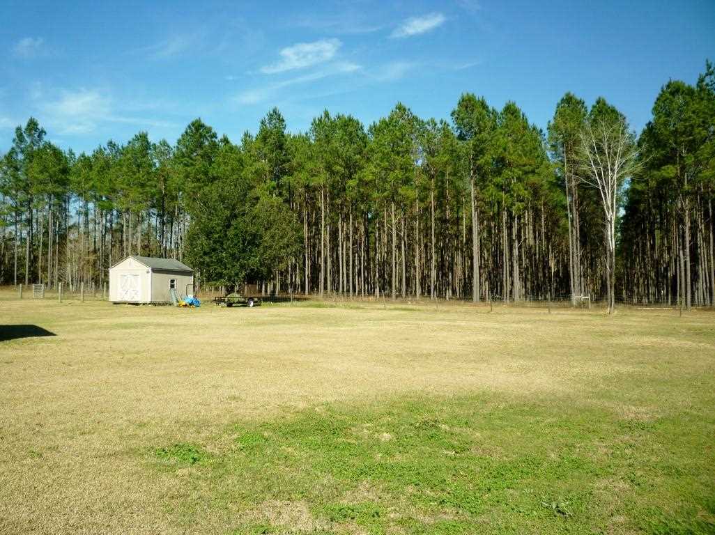 964 Freeman Road Lamont, FL 32336 - Photo 7 of 25 Gallery Image 7