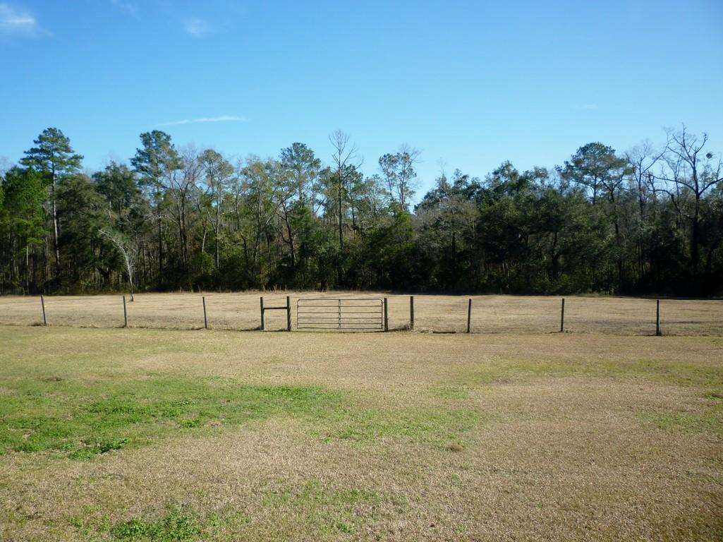 964 Freeman Road Lamont, FL 32336 - Photo 10 of 25 Gallery Image 10