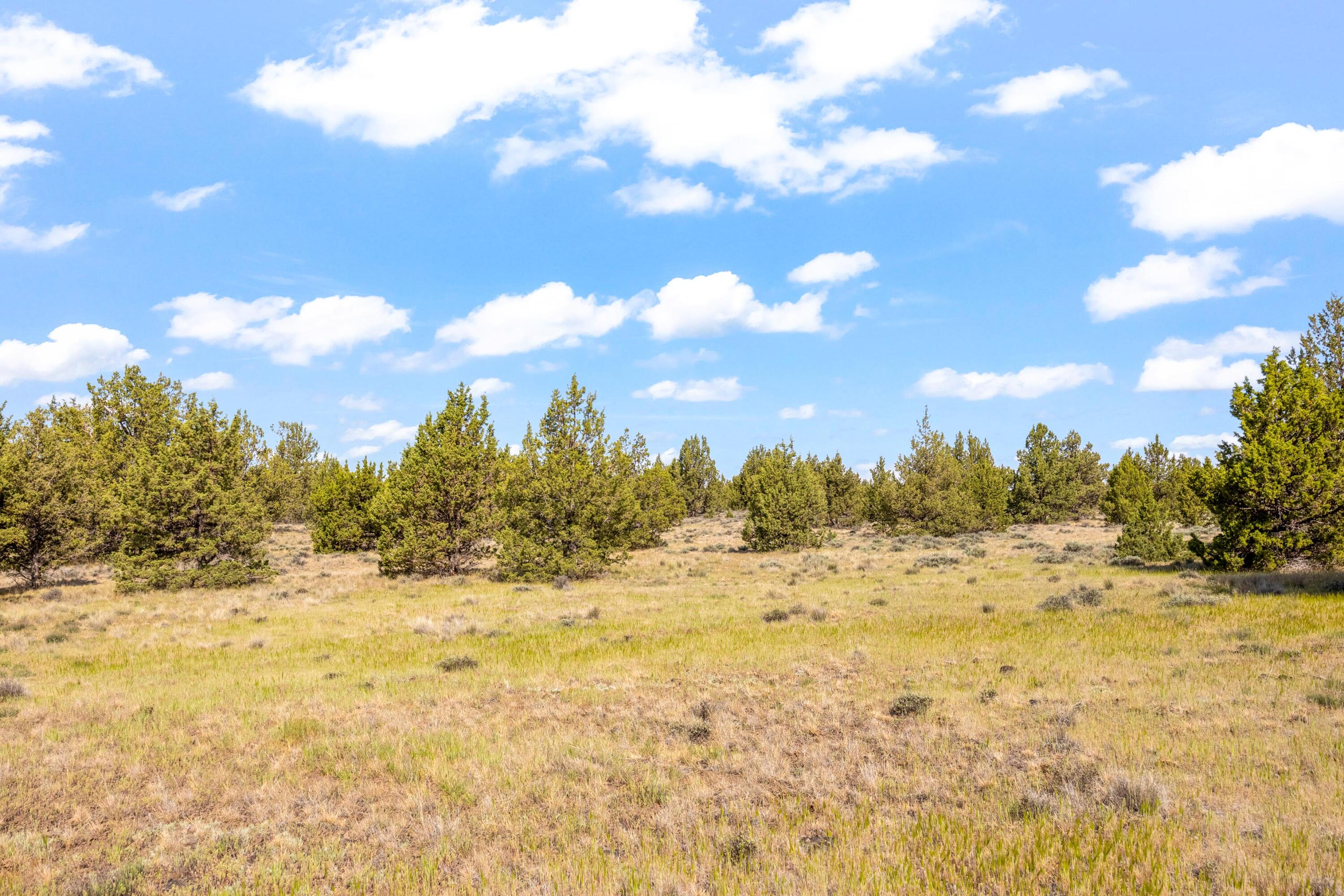 6751 Iowa Road Prineville, OR 97754 - Photo 10 of 15 10