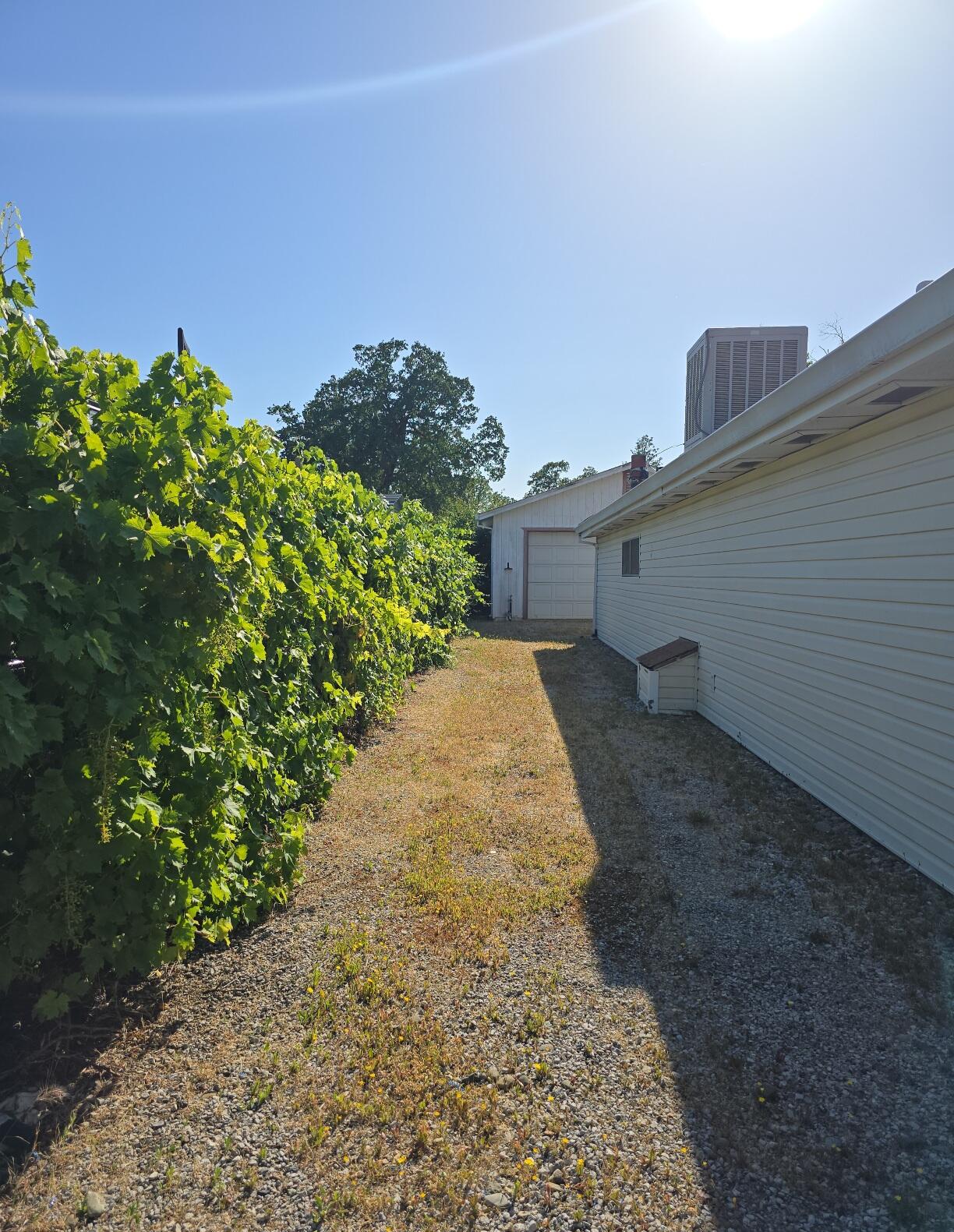 846 Ridge Road Redding, CA 96003 - Photo 37 of 38 TimePhoto_20250528_172420