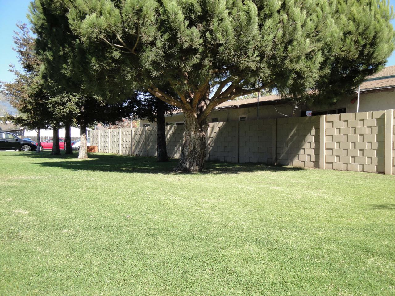 6626 Trigo Road Isla Vista, CA 93117 - Photo 6 of 7 Looing at the property from the park