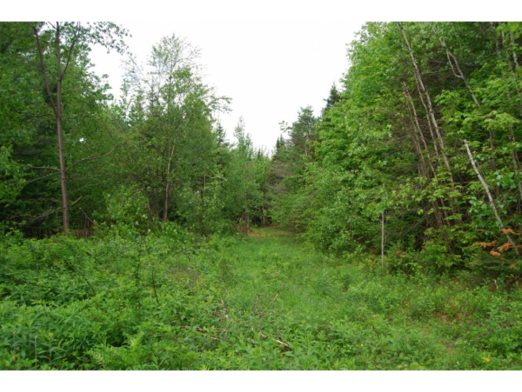 1493 Baldwin Brook Road Wolcott, VT 05680 - Photo 4 of 11