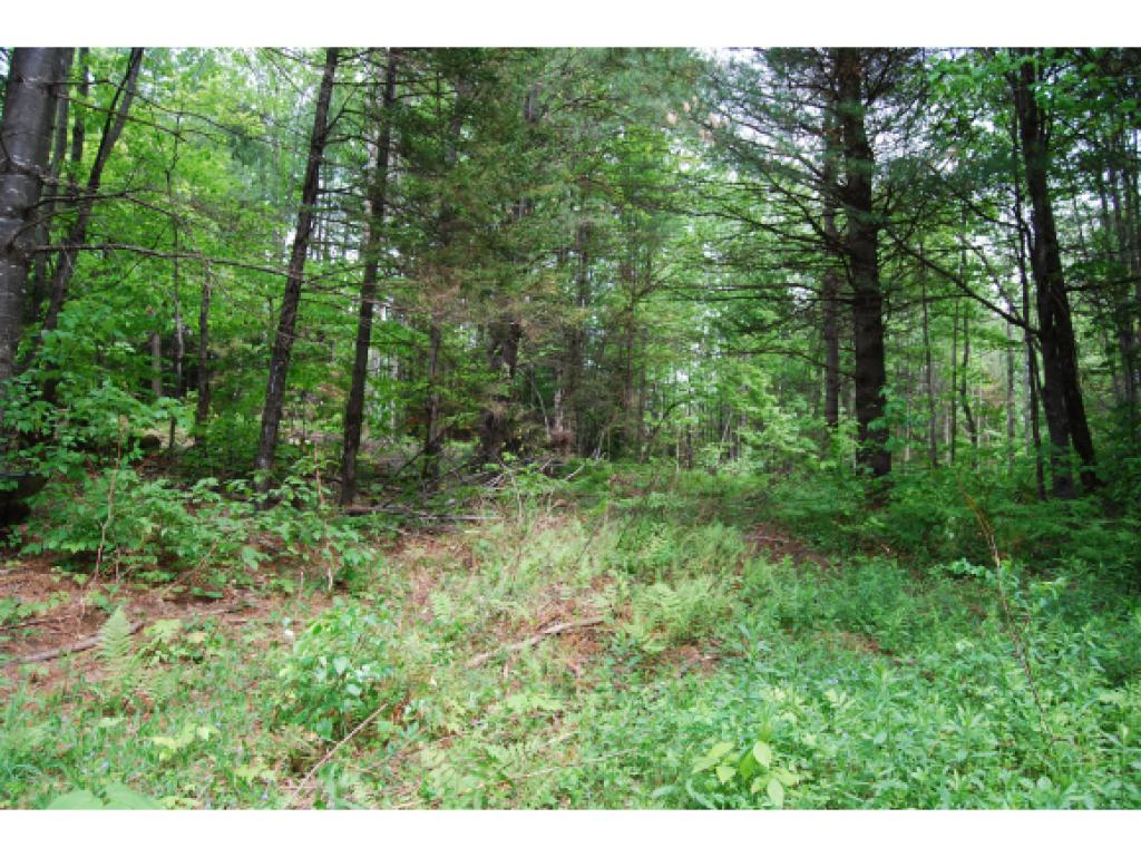 1493 Baldwin Brook Road Wolcott, VT 05680 - Photo 5 of 11