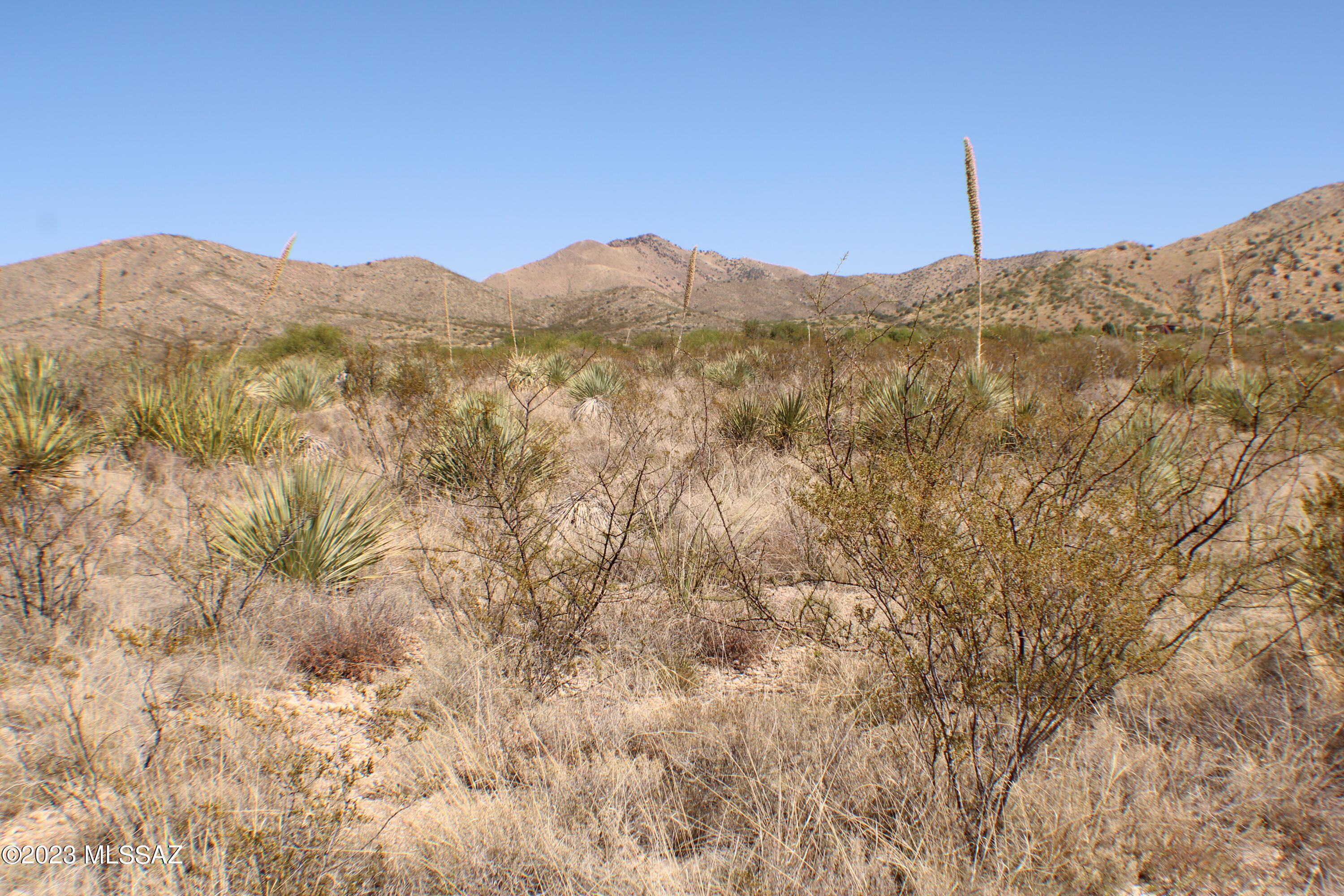 East Diamondback Road St. David, AZ 85630 - Photo 7 of 24 Gallery Image 7