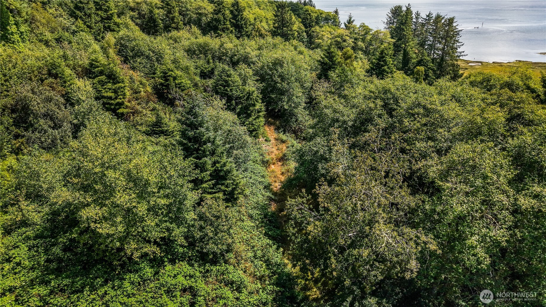 4001 4th Avenue Southwest Ilwaco, WA 98624 - Photo 5 of 20 an outdoor view of house with green space