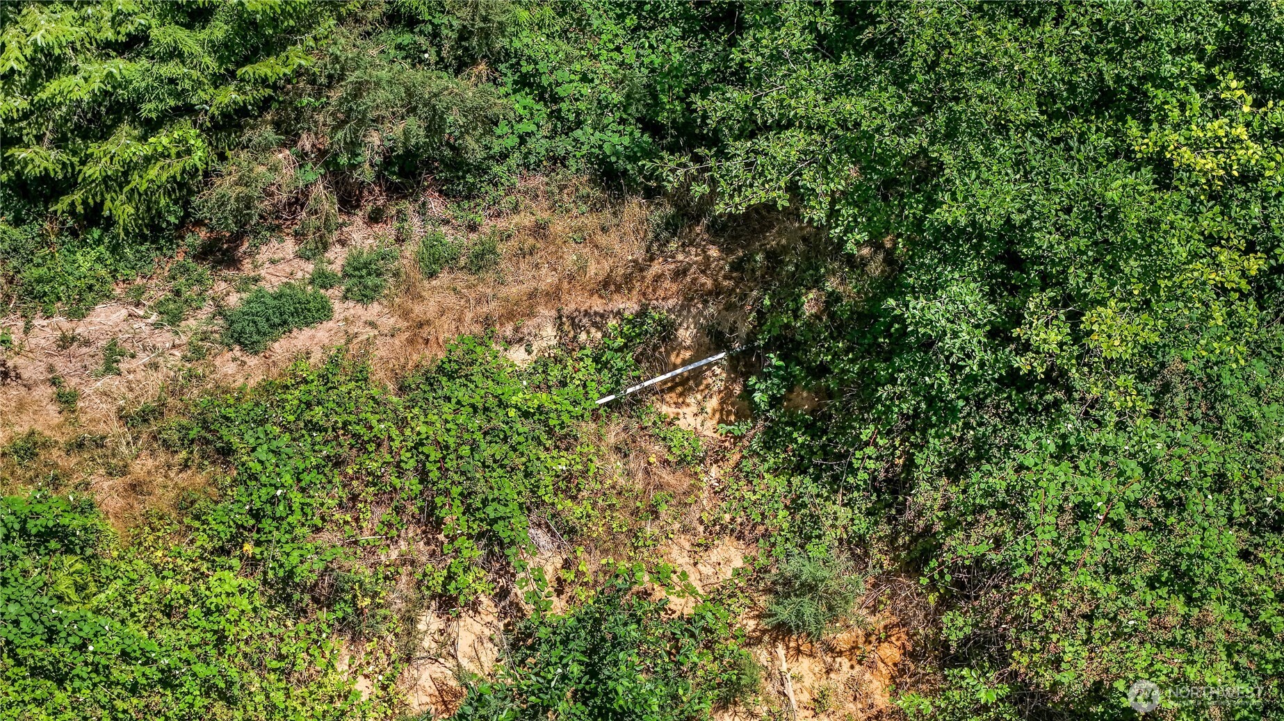 4001 4th Avenue Southwest Ilwaco, WA 98624 - Photo 7 of 20 a backyard of a house with lots of green space