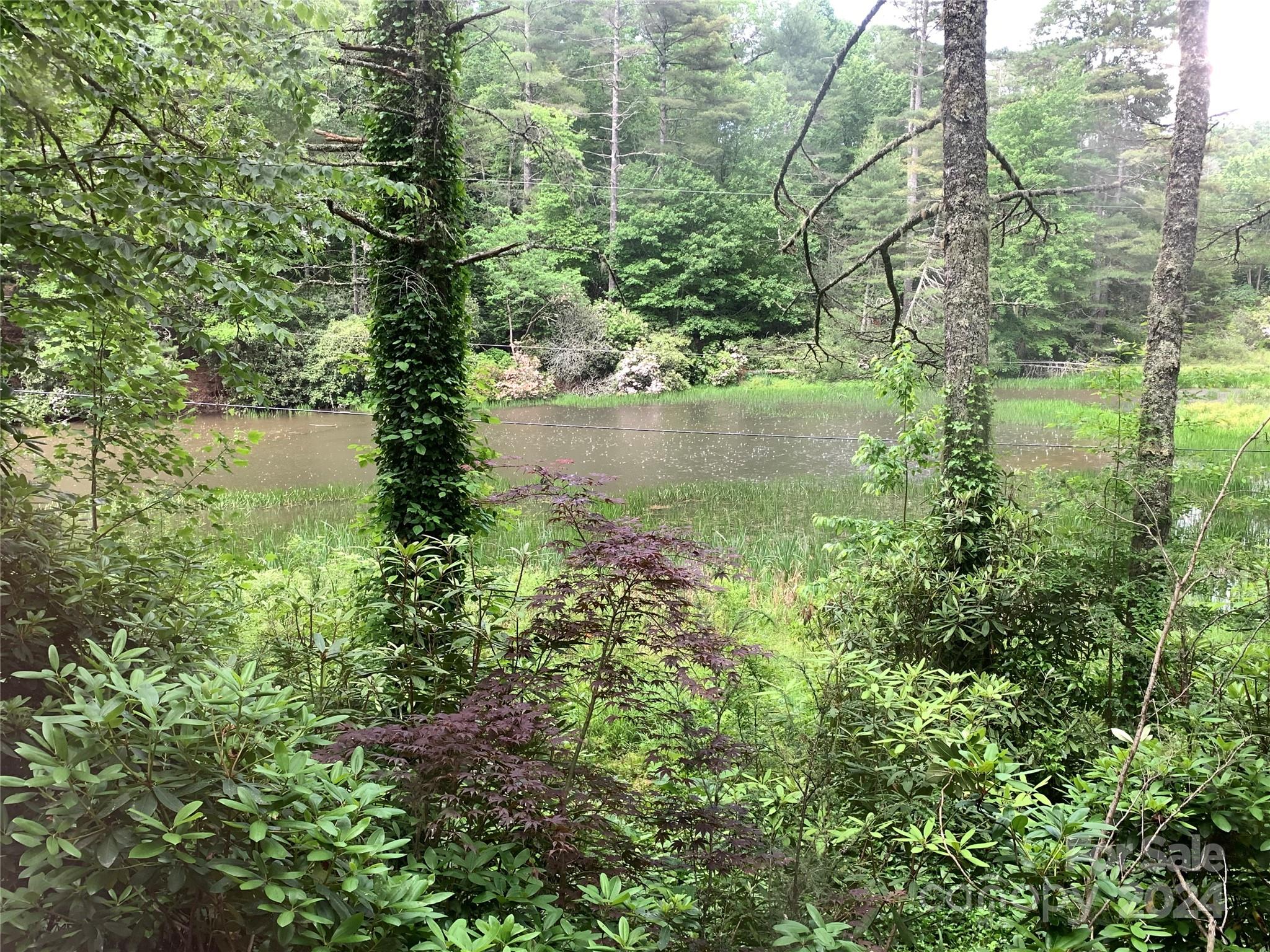 262 Lance Road Cashiers, NC 28717 - Photo 26 of 41 Gallery Image 26