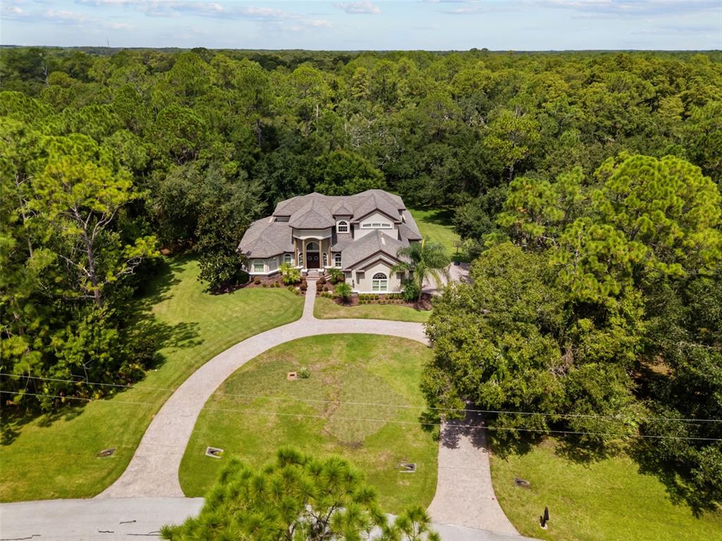 10826 Alico Pass New Port Richey, FL 34655 - Photo 1 of 51 a view of a swimming pool with a yard