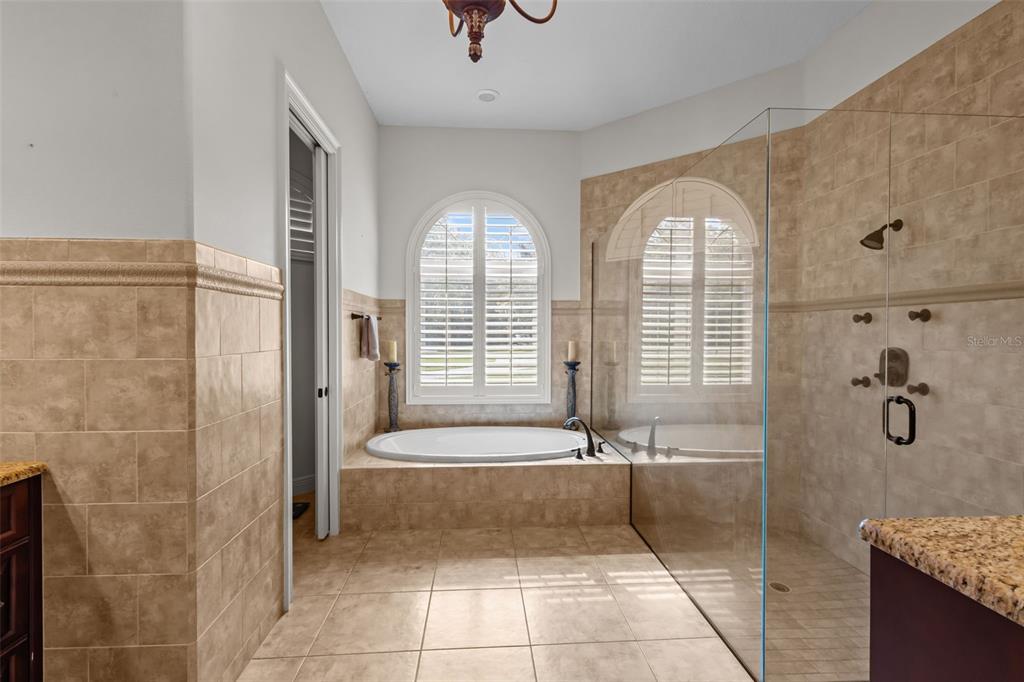 10826 Alico Pass New Port Richey, FL 34655 - Photo 19 of 51 a bathroom with a granite countertop bathtub shower and mirror