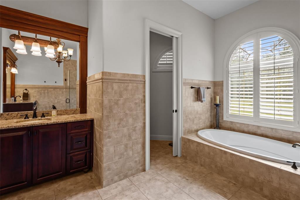 10826 Alico Pass New Port Richey, FL 34655 - Photo 21 of 51 a bathroom with a granite countertop sink toilet and shower