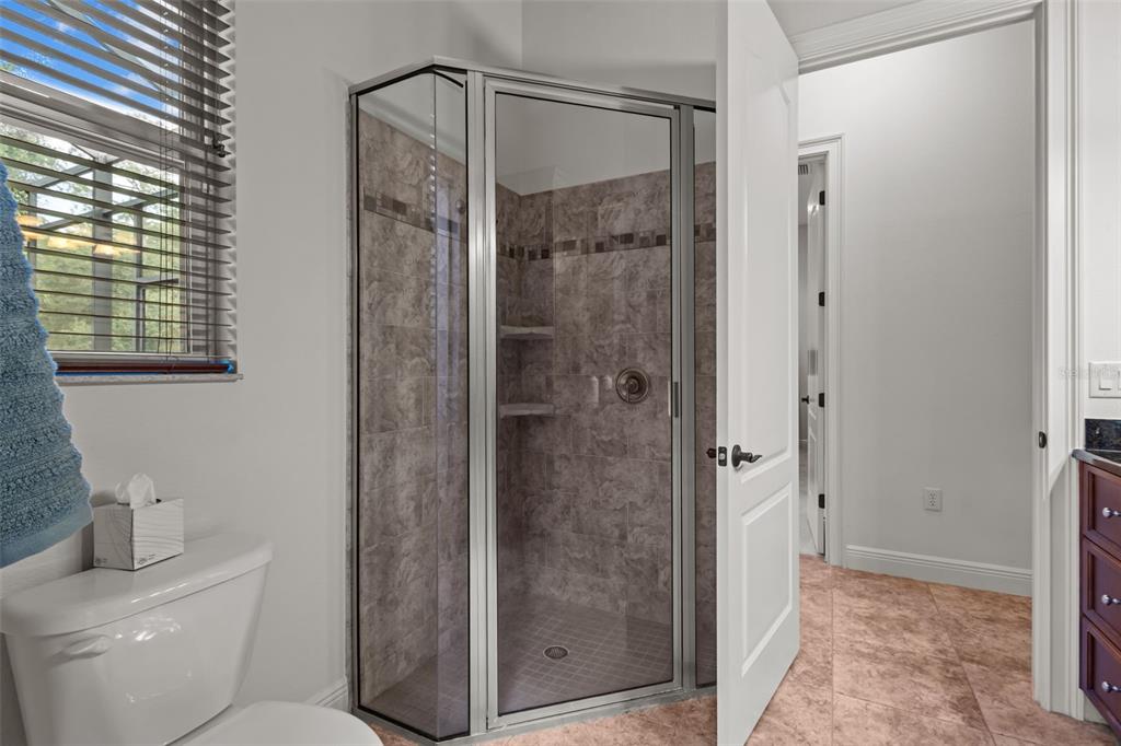 10826 Alico Pass New Port Richey, FL 34655 - Photo 30 of 51 a bathroom with a shower a toilet and a sink