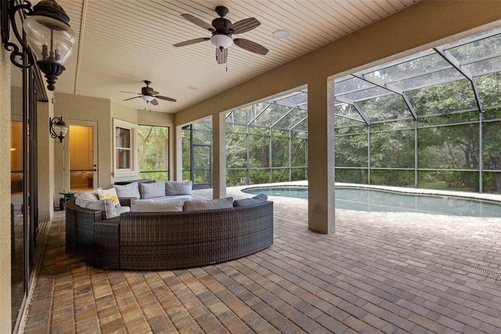 10826 Alico Pass New Port Richey, FL 34655 - Photo 42 of 51 a living room with couch