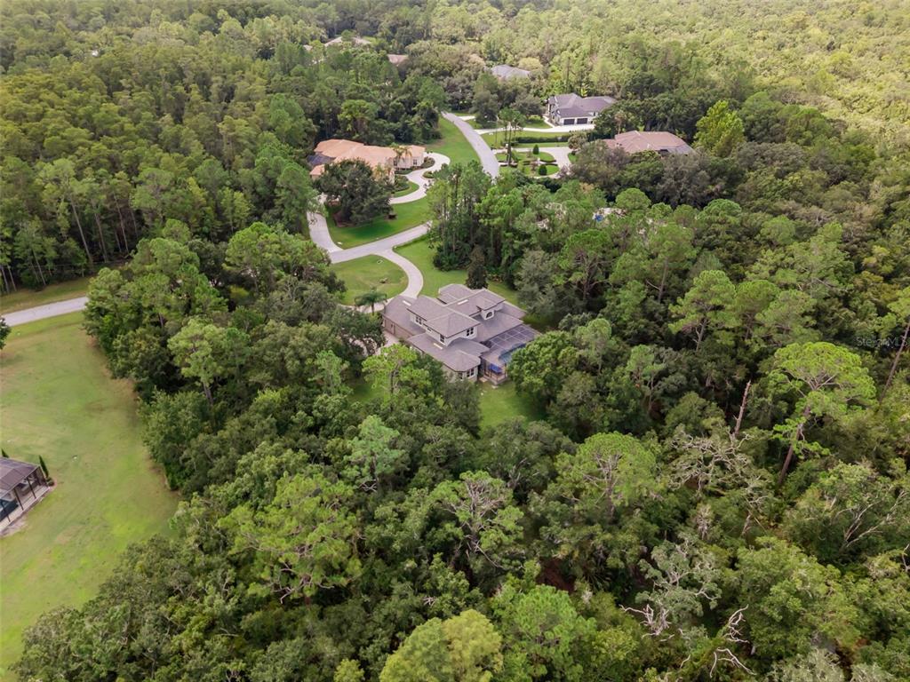 10826 Alico Pass New Port Richey, FL 34655 - Photo 49 of 51 a view of a bunch of houses with green space