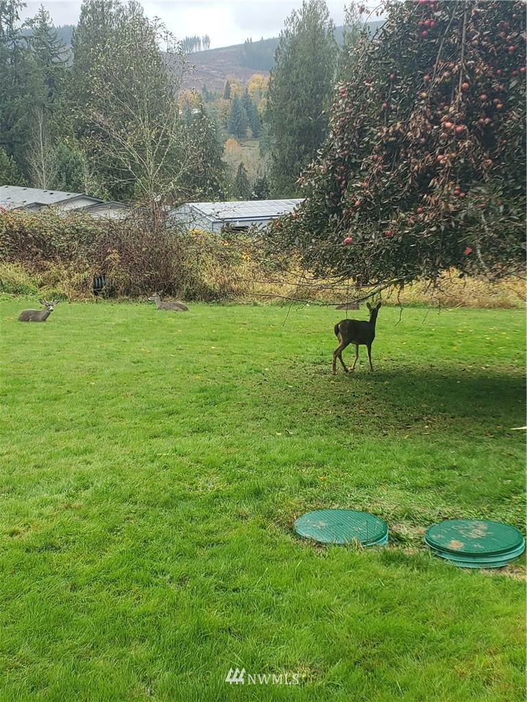 104 Jensen Road Kelso, WA 98626 - Photo 22 of 25 Gallery Image 22