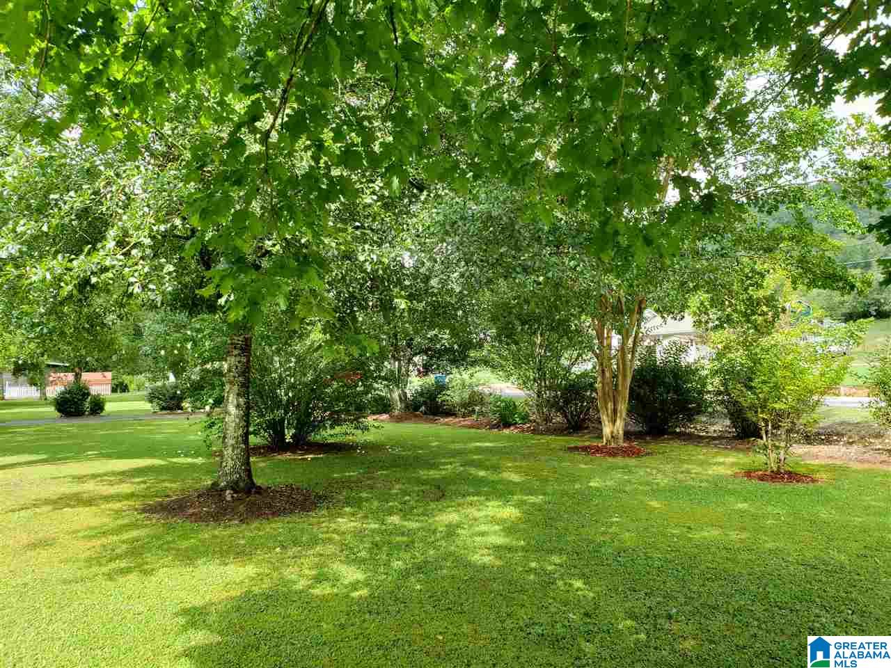 640 Old Highway 75 Oneonta, AL 35121 - Photo 34 of 43