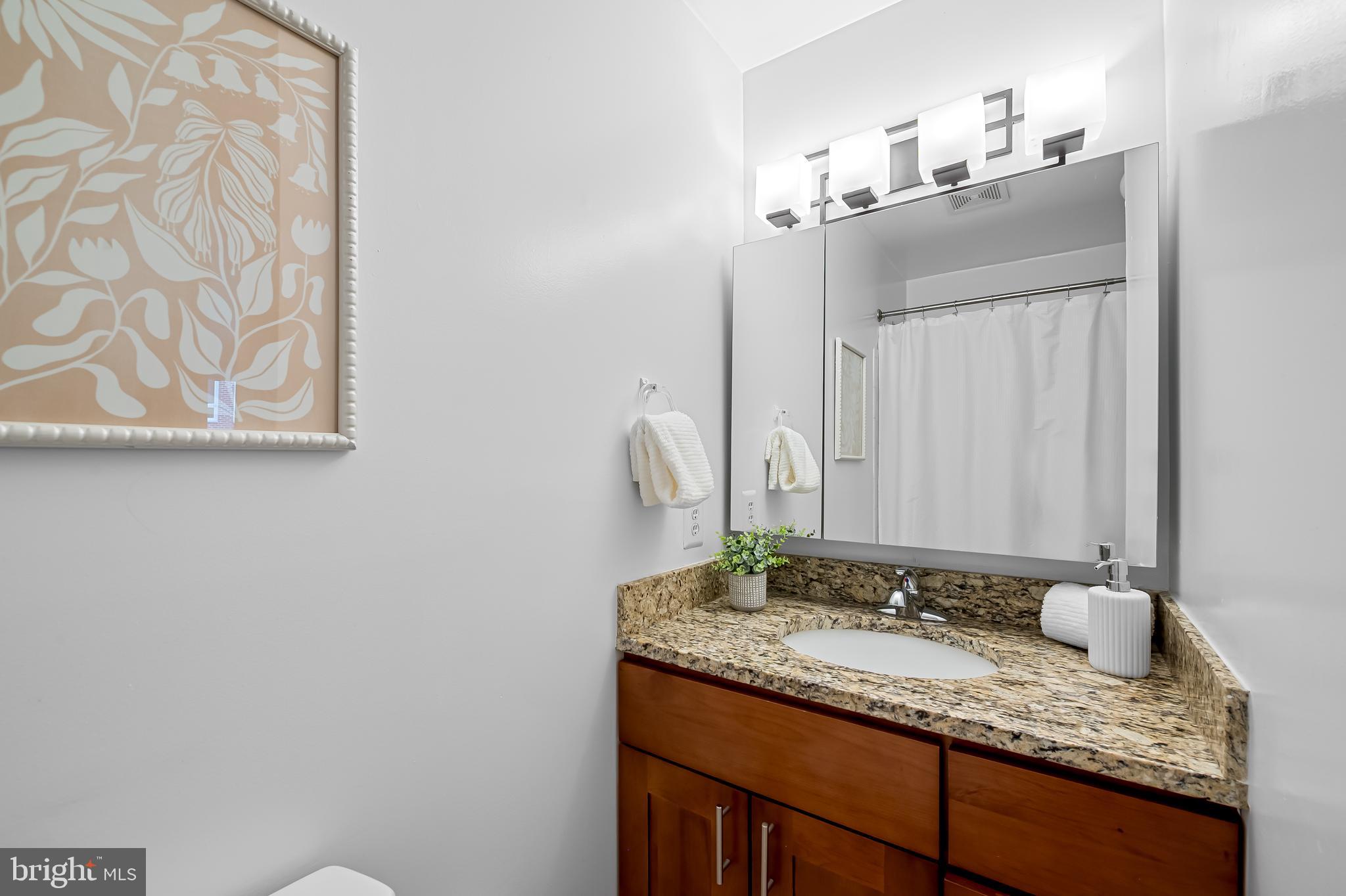 630 South Hanover Street Baltimore, MD 21230 - Photo 31 of 55 a bathroom with a granite countertop sink and a mirror