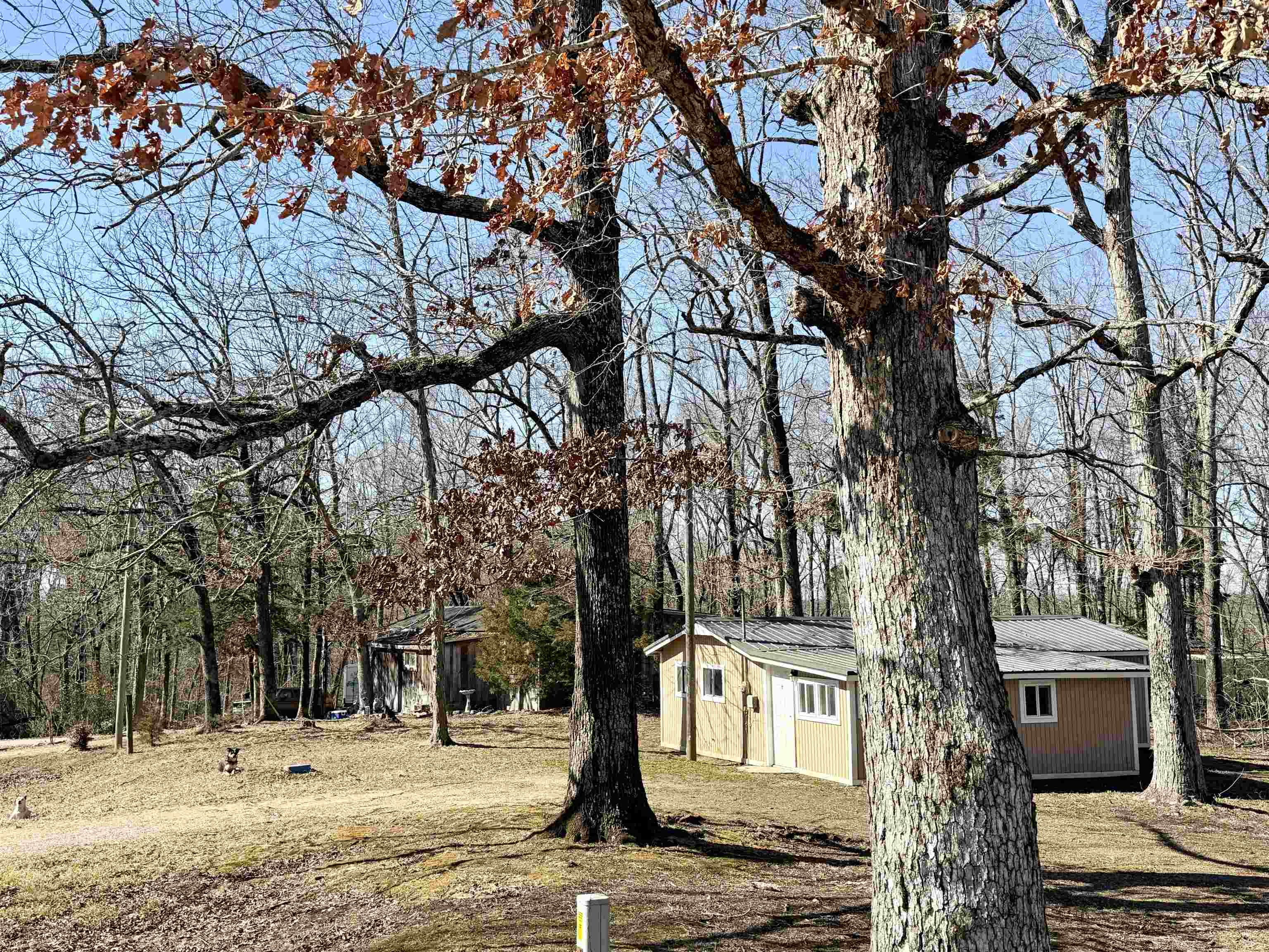 345 Shad Lane Adamsville, TN 38310 - Photo 16 of 20