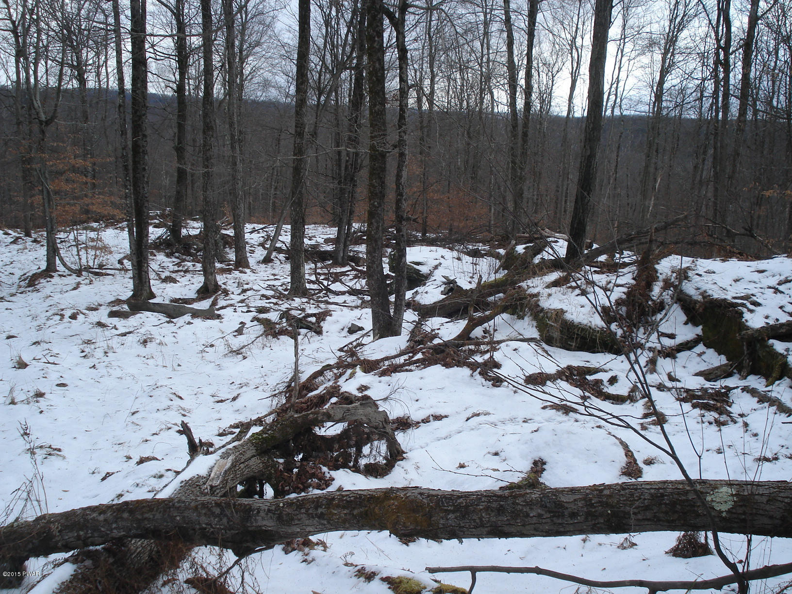 97 Row Off Route Port Crane, NY 13833 - Photo 5 of 10
