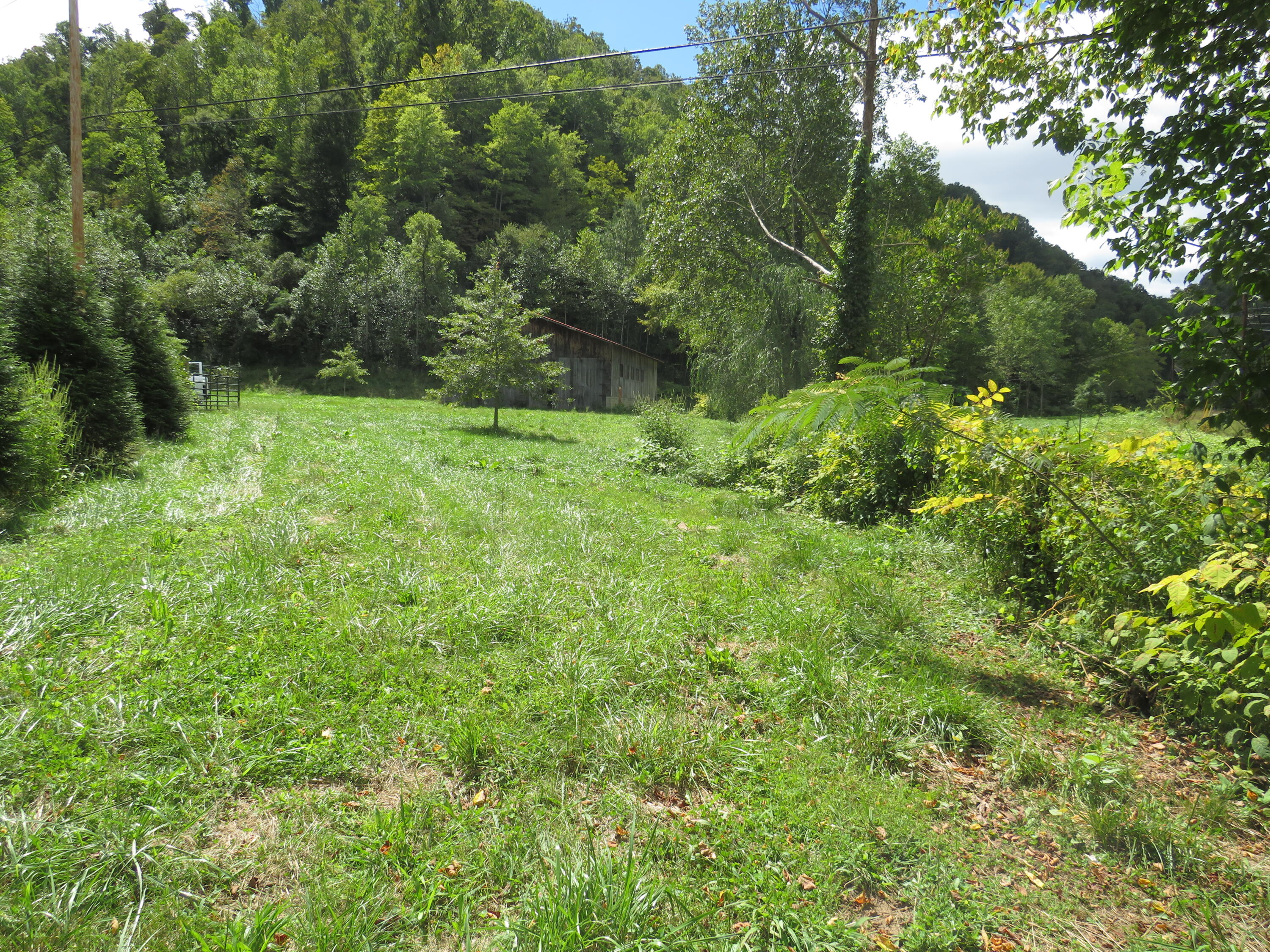 108 Lost Fork Road Manchester, KY 40962 - Photo 55 of 111 IMG_4459 - Copy
