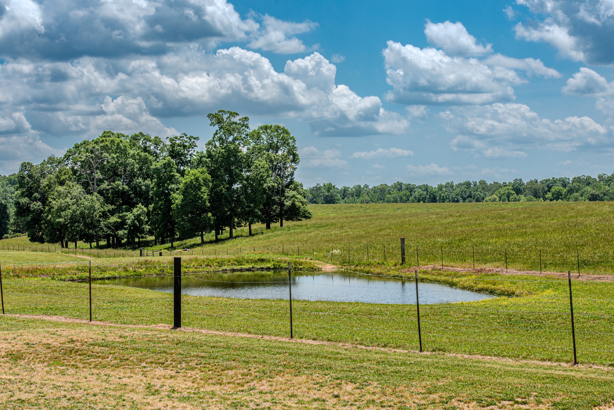 1198 David Patterson Road Lutts, TN 38471 - Photo 10 of 82