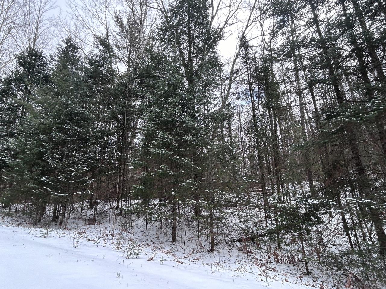 Lot # Moonshine Valley Road Presque Isle, WI 54557 - Photo 4 of 4 Gallery Image 4