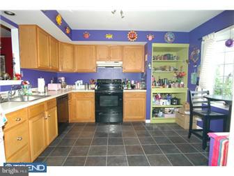 103 Nicole Way Sinking Spring, PA 19608 - Photo 2 of 10 Kitchen