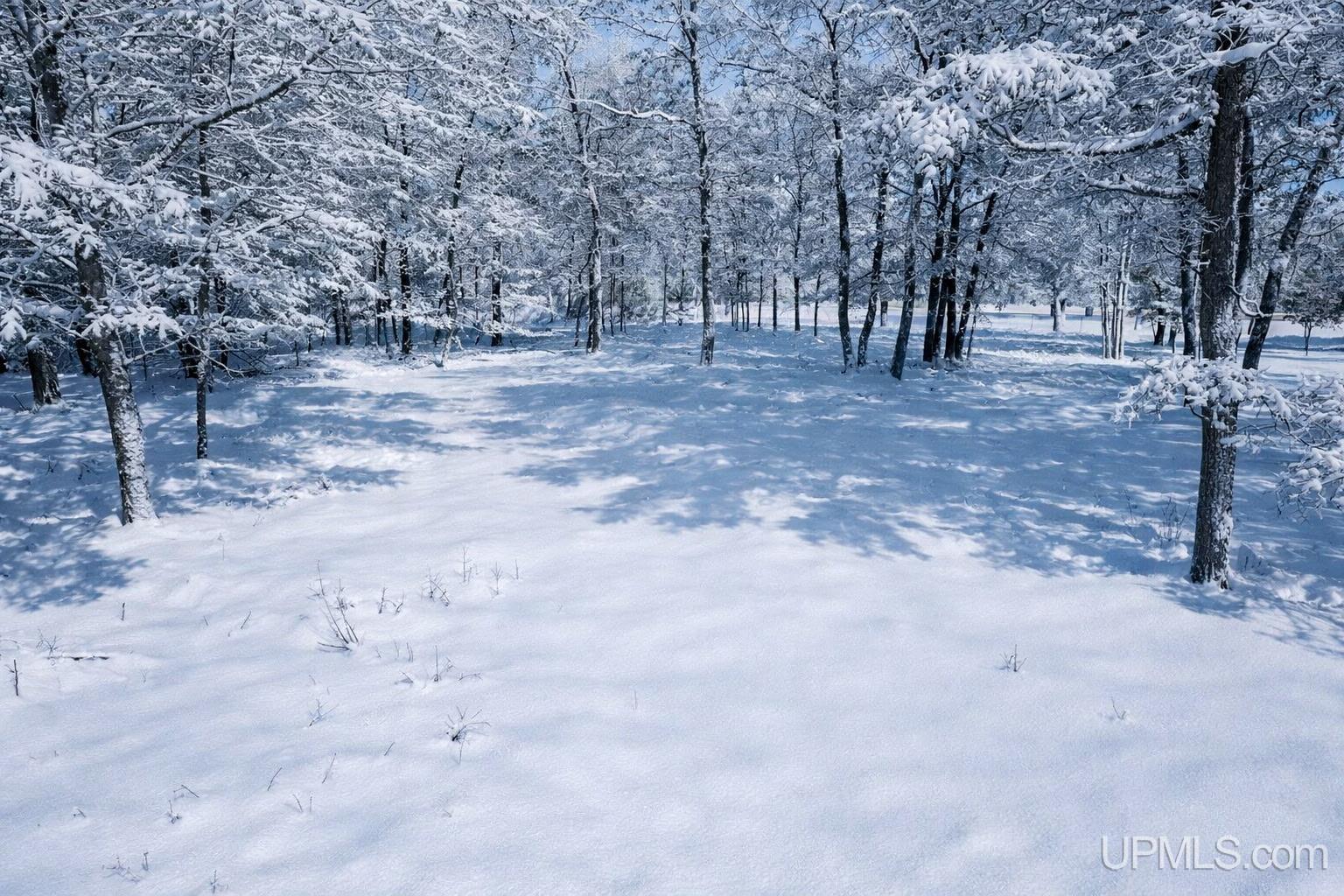 Tbd Tipperary Road Gladstone, MI 49837 - Photo 1 of 18