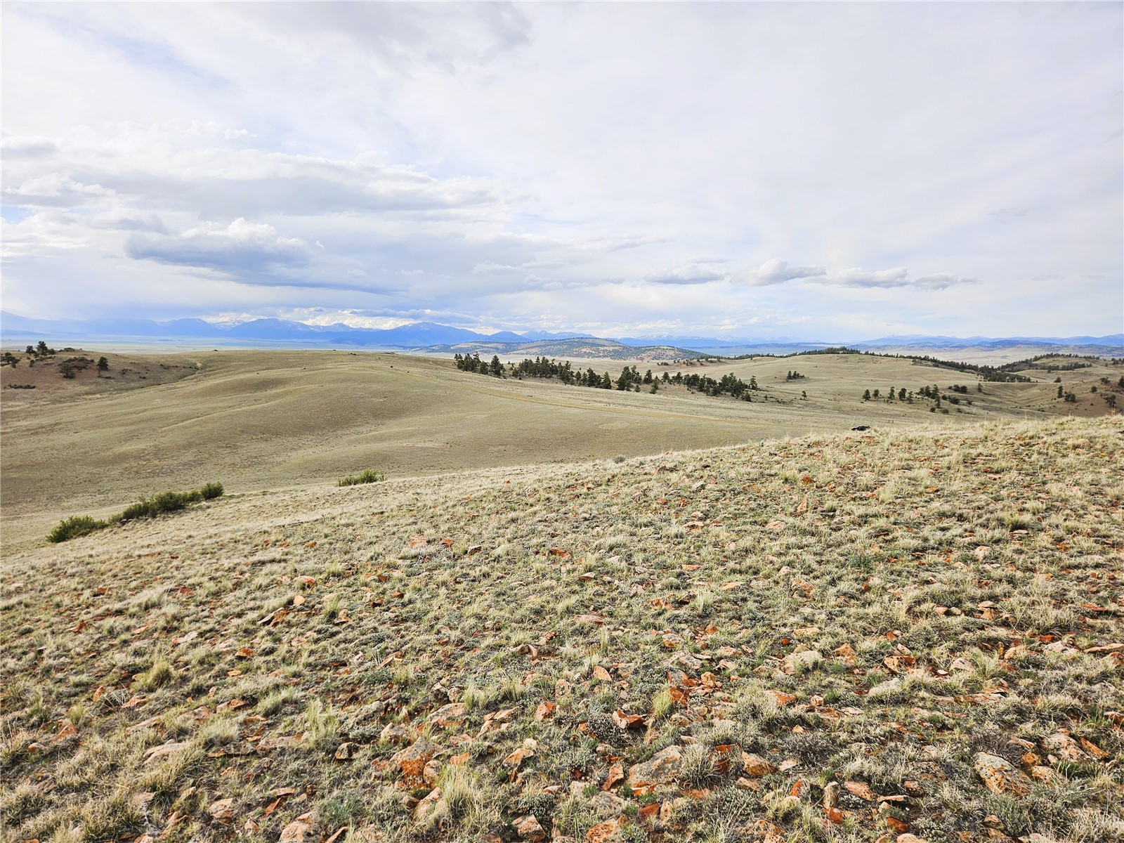 Pcs#24139 Antero Road Hartsel, CO 80449 - Photo 17 of 41