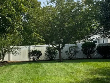 a view of a backyard