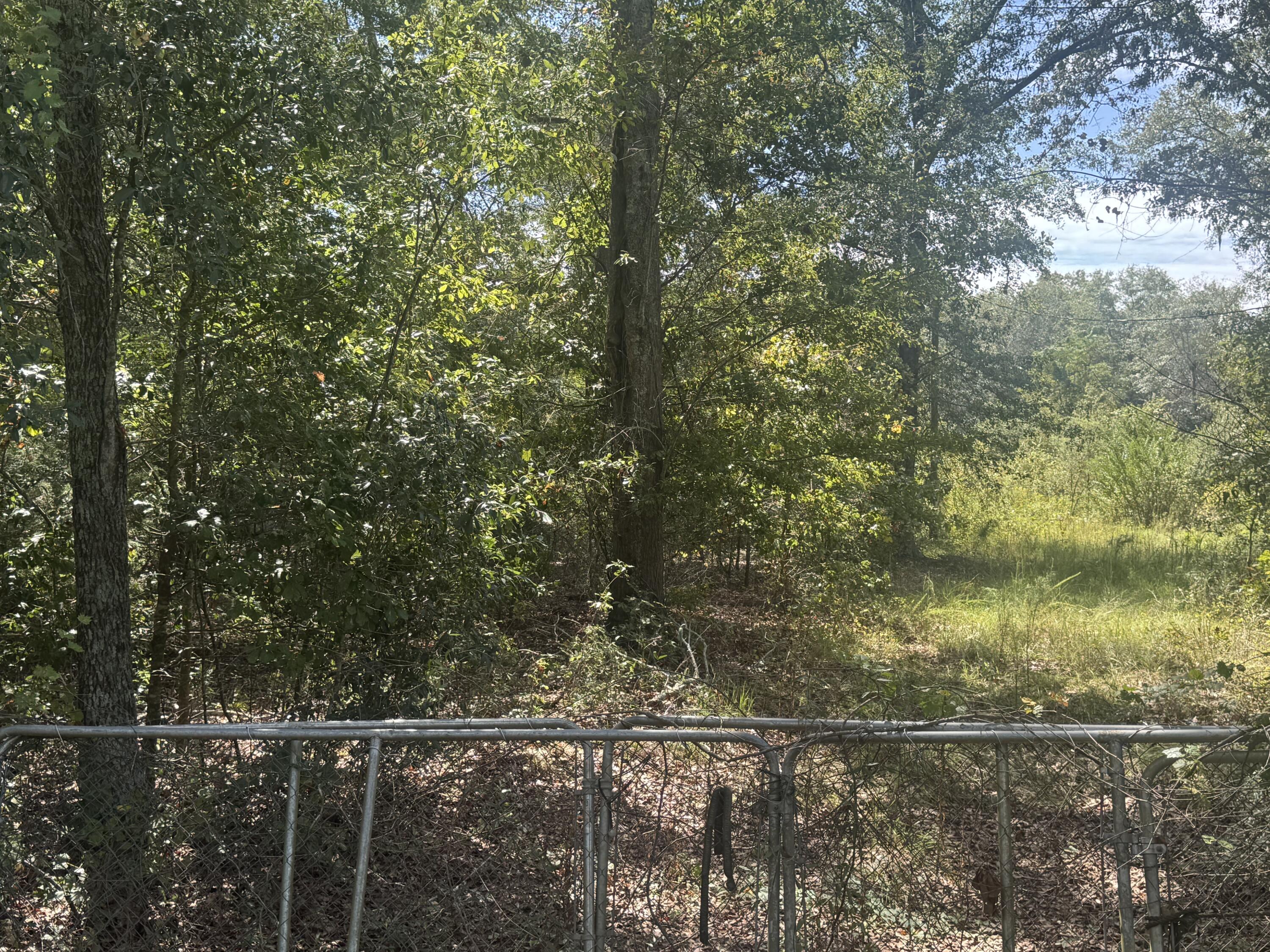 1571-1651 State Rd S-38-1206 North, SC 29112 - Photo 5 of 5