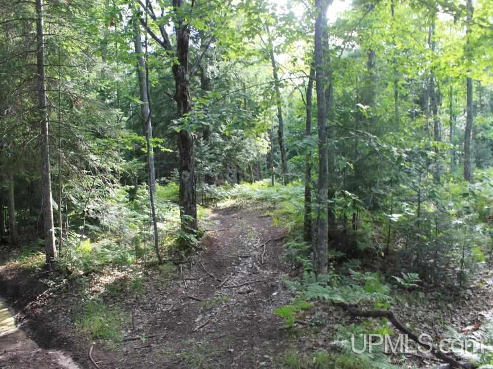 Tbd Shepards Ridge Road Lake Linden, MI 49945 - Photo 2 of 27 Gallery Image 2