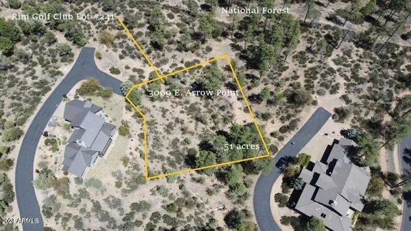 an aerial view of a house with a yard and large trees