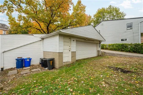 a view of a backyard with plants and a large tree