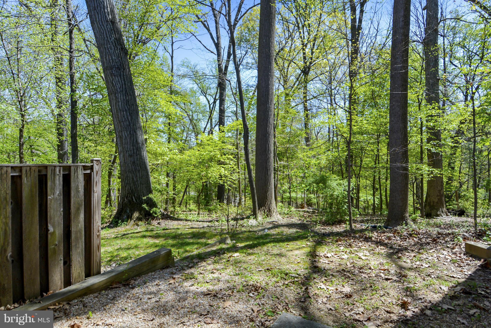 2032 Derby Ridge Lane, Unit 32 Silver Spring, MD 20910 - Photo 11 of 29 View of Rock Creek Park