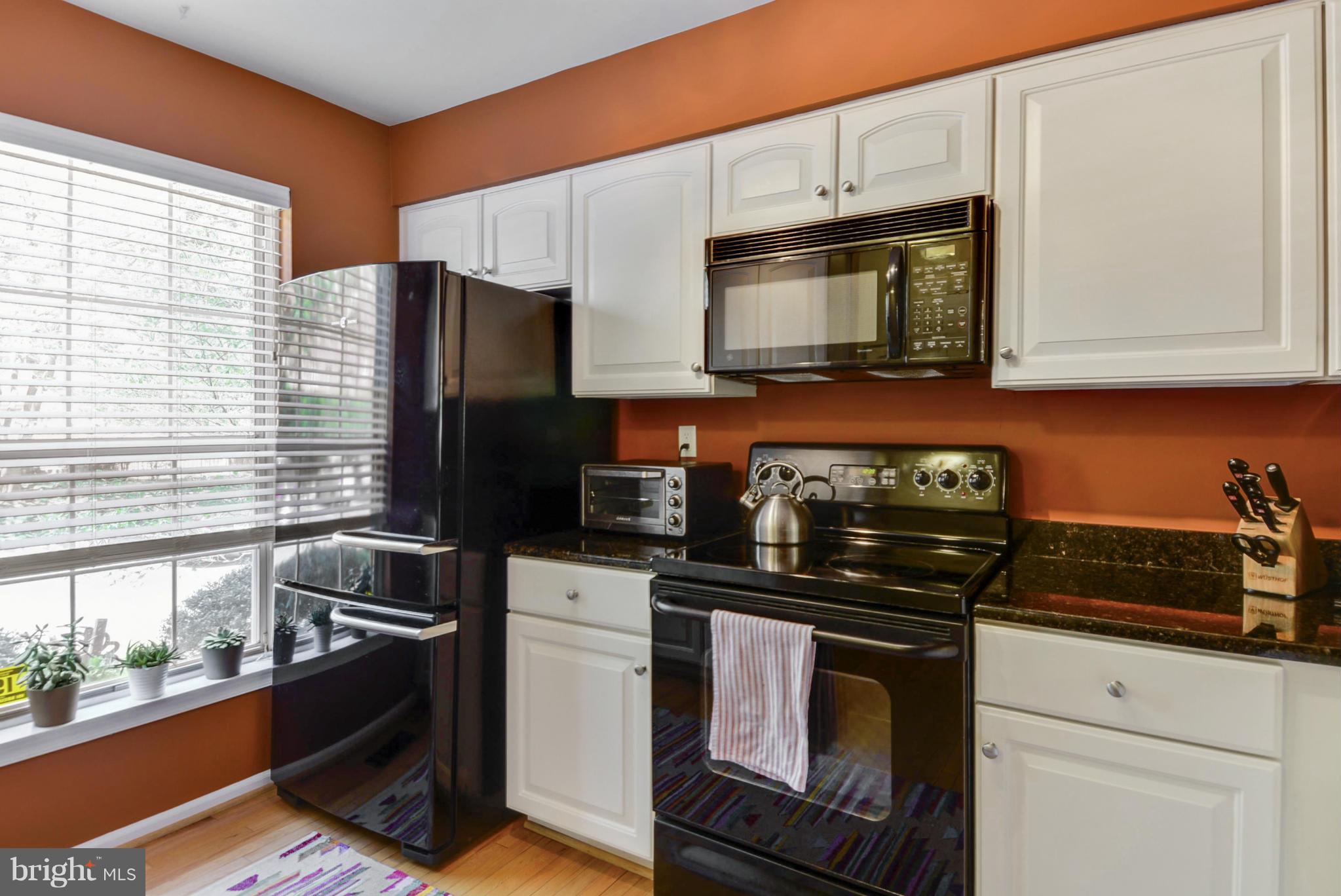 2032 Derby Ridge Lane, Unit 32 Silver Spring, MD 20910 - Photo 4 of 29 Kitchen