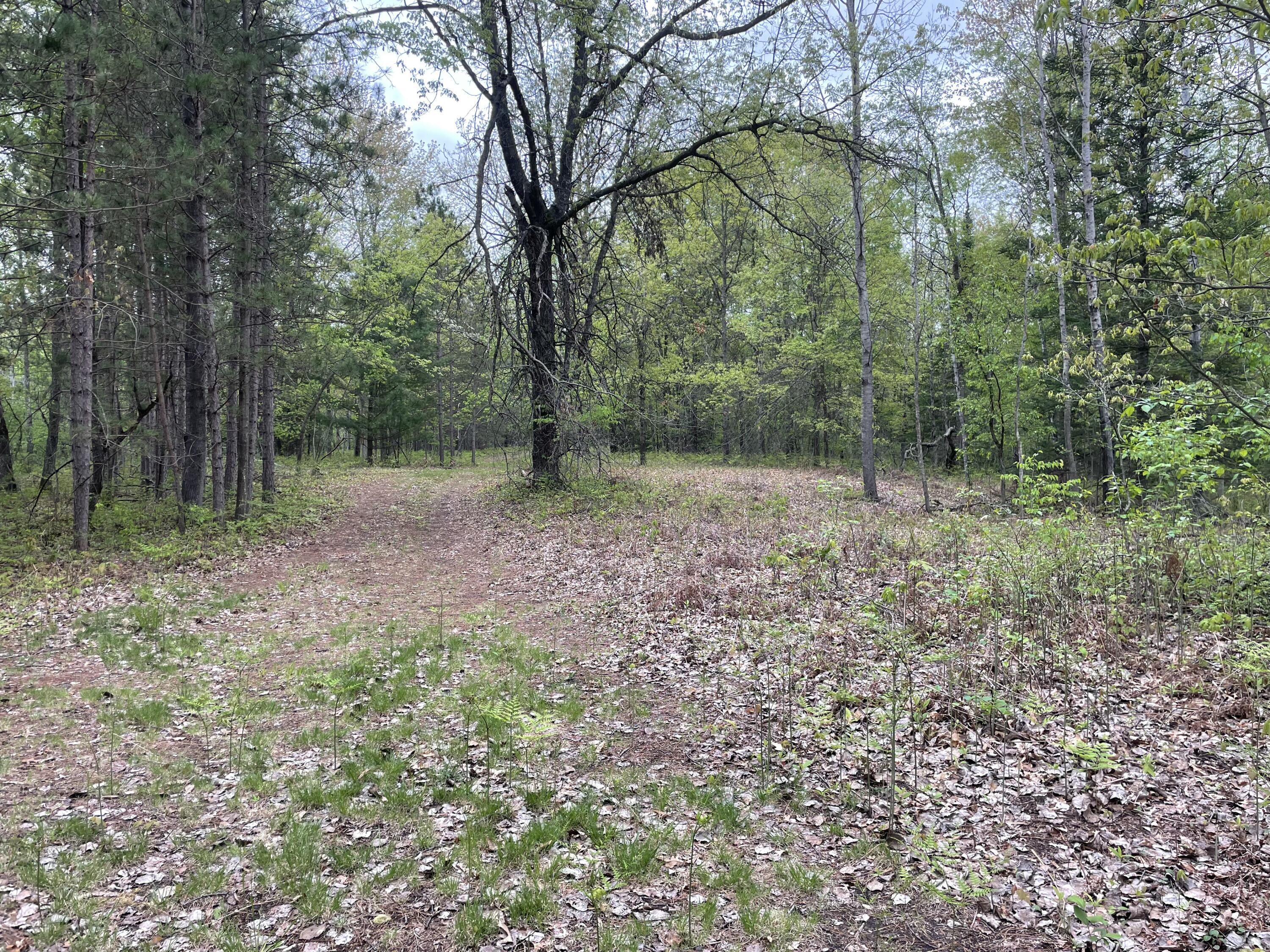 651 Boman Road Gladwin, MI 48624 - Photo 12 of 24 IMG_3727