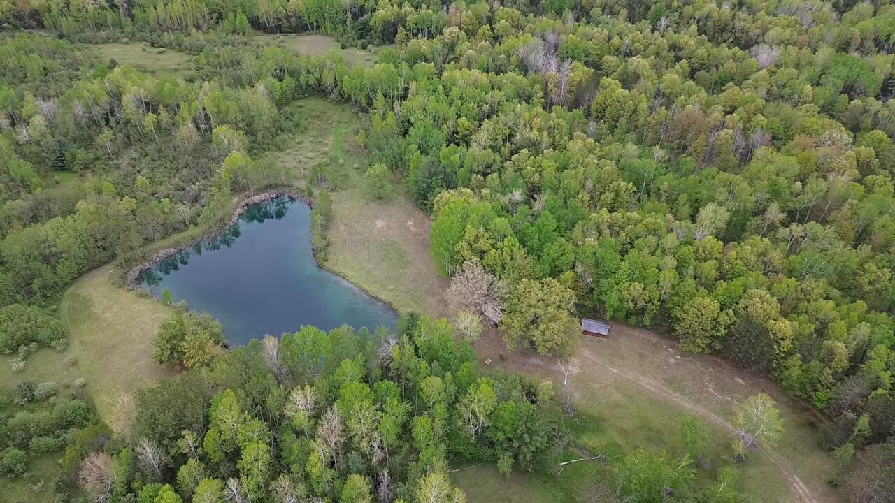 651 Boman Road Gladwin, MI 48624 - Photo 20 of 24 4 (1)