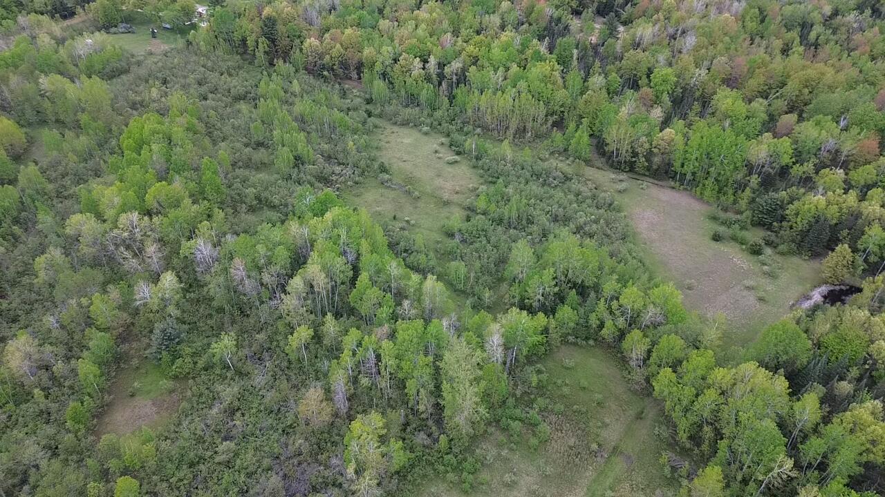 651 Boman Road Gladwin, MI 48624 - Photo 21 of 24 5 (1)