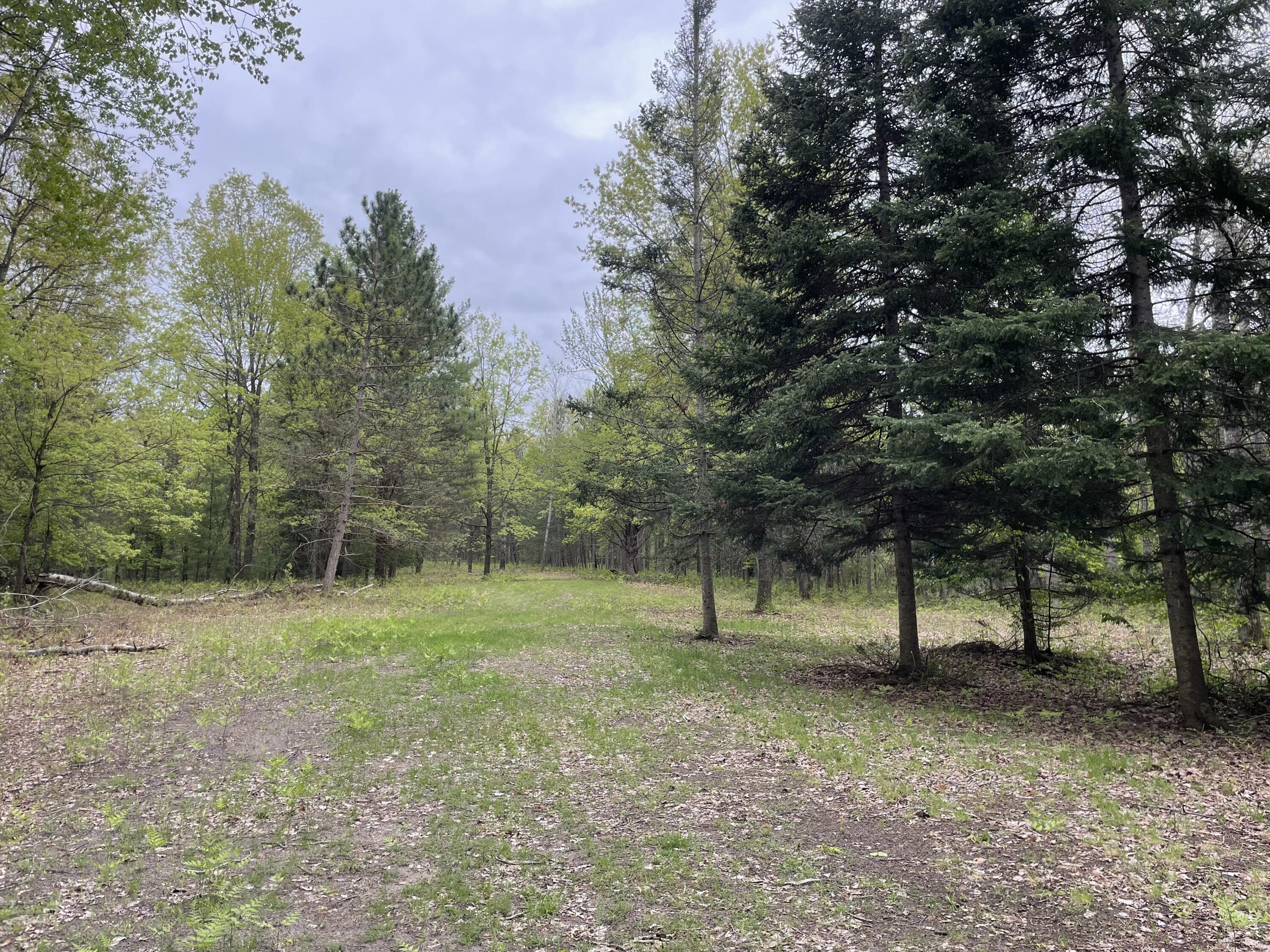 651 Boman Road Gladwin, MI 48624 - Photo 24 of 24 IMG_3708 (3)