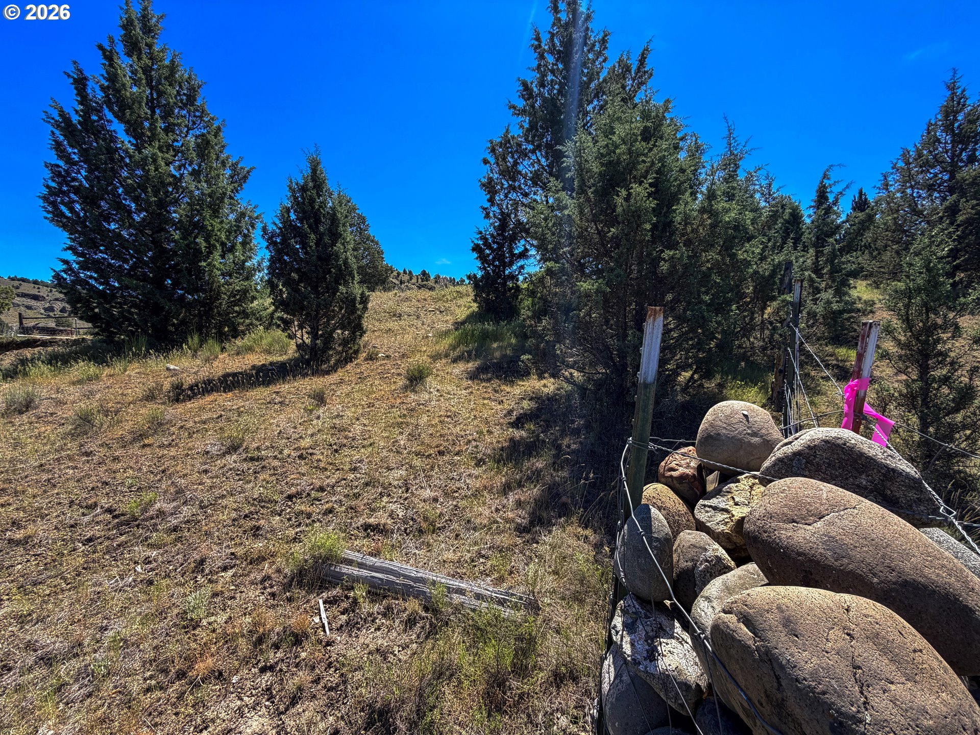 Luce Creek Road John Day, OR 97845 - Photo 6 of 18