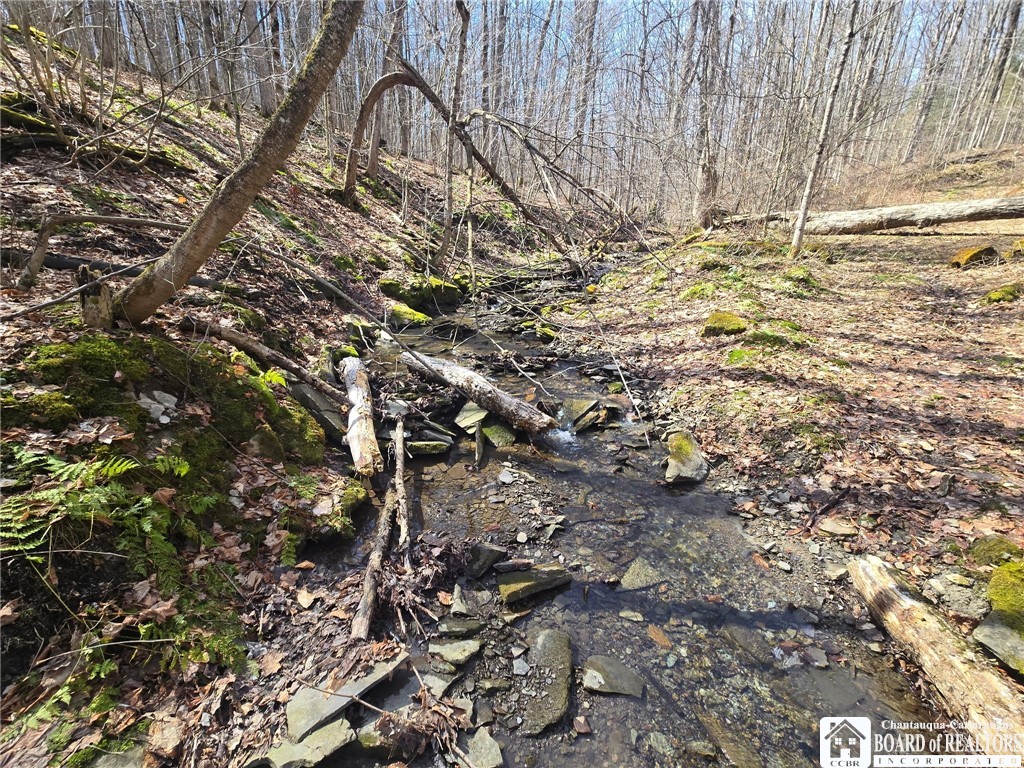 0 West Cobb Road Falconer, NY 14733 - Photo 10 of 49