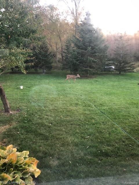 5940 Lippincott Road Lapeer, MI 48446 - Photo 40 of 43 132729.jpeg